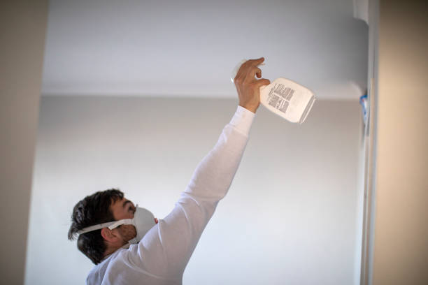 Trusted Tyler, TX Mold Remediation Experts