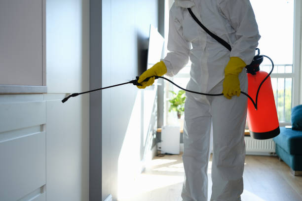 Best Emergency Mold Remediation in Tyler, TX