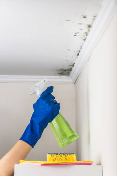 Best Crawl Space Mold Remediation in Tyler, TX